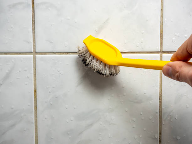 Best Emergency Mold Removal  in Walnut Creek, NC