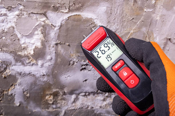 Best Office Mold Removal Services  in Walnut Creek, NC