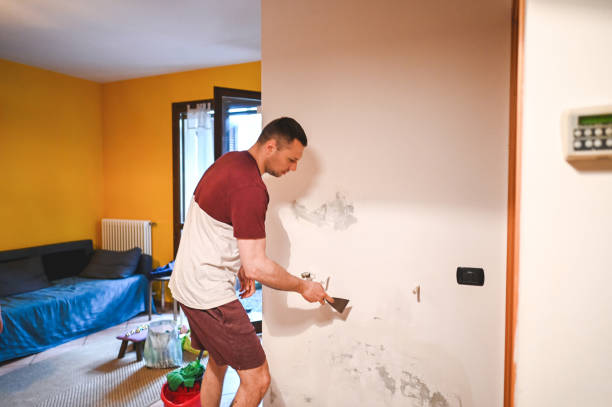 Best Residential Mold Removal  in Walnut Creek, NC